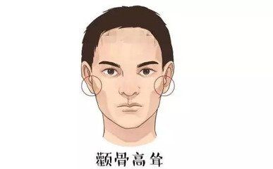 颧骨高男人的面相有什么说法 脸上颧骨高的女人面相