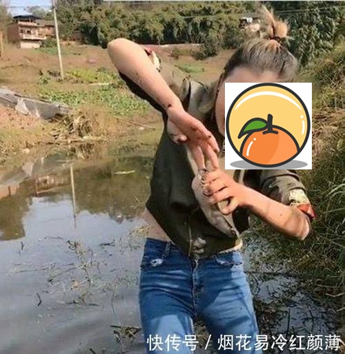 梦见很多黄鳝 女人梦见捉黄鳝是什么意思