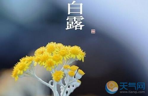 2019白露是几月几日 节气按阴历还是阳历算？ 2019年10月份有什么节气