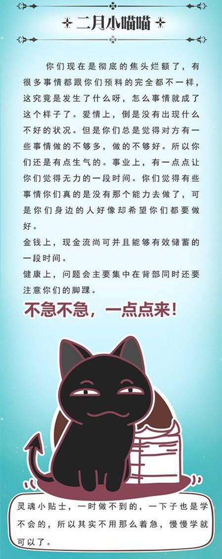 猫石对话周运停止更新 猫石对话每日运势2019