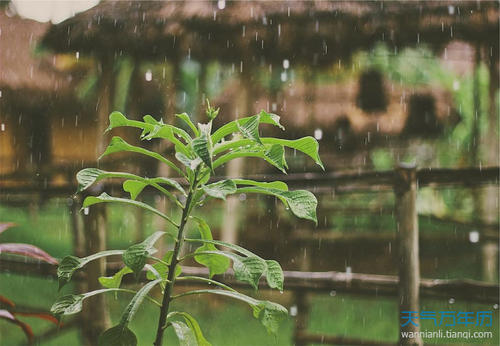 梦见雨过天晴 男人梦见下小雨