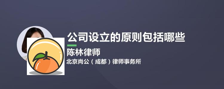 公司起步的基本原则 公司设立的原则有哪些