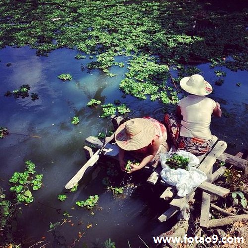 梦见龙入水中 梦见龙入身