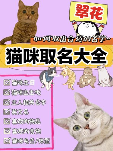 给猫咪一个好听的名字 给公的猫咪取什么名字好听