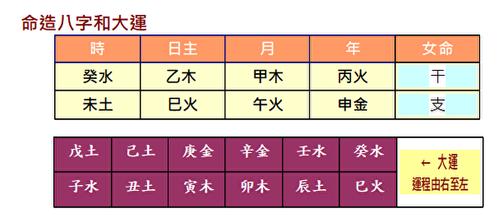 金水伤官八字木多财运如何 详解金水伤官女