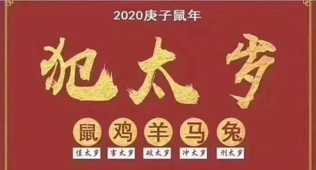 12生肖2020年1月运程-能鸿运当头、开门大吉吗 生肖2020年运势完整版