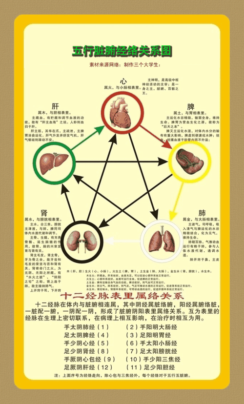 四种虚症的人冬季风水养生如何进补保养呢 虚怎么补