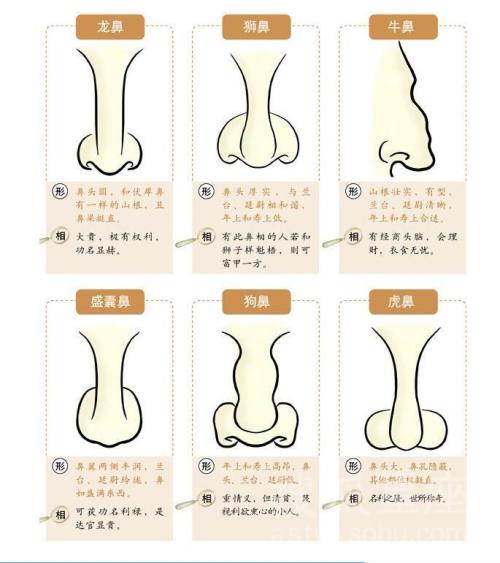 男人富贵鼻子面相 男人富贵鼻有什么特点 耸鼻面相