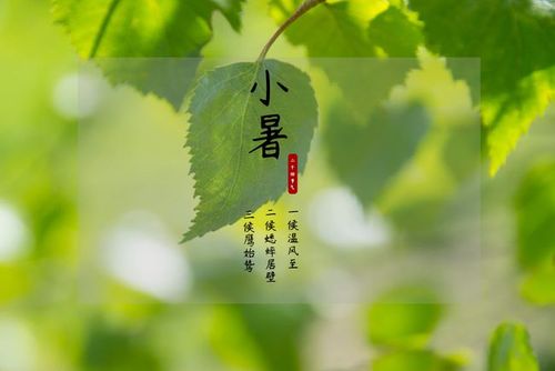 小暑节气最忌讳什么,小暑节气是不是进入头伏？ 春分节气