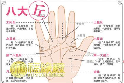 不同形态的掌丘代表的财运如何 望丘