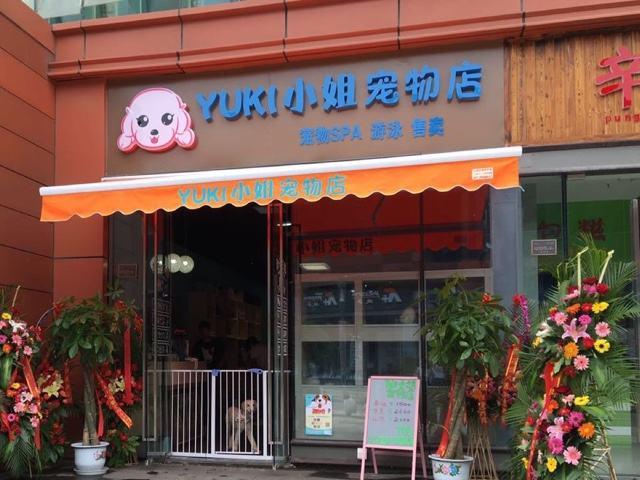 公司取名-宠物用品店如何取名 母婴店取名