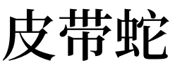 梦见皮带 梦见很多条腰带