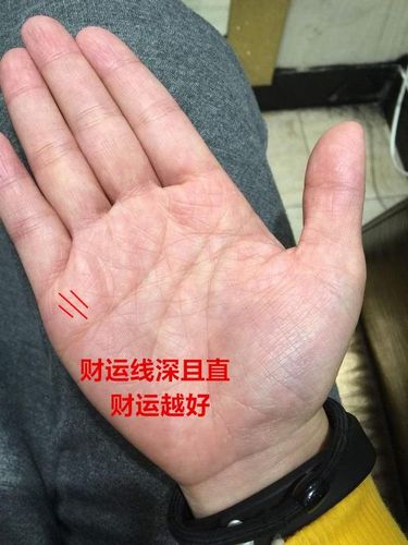 看手相到底准不准呢 算手相准吗