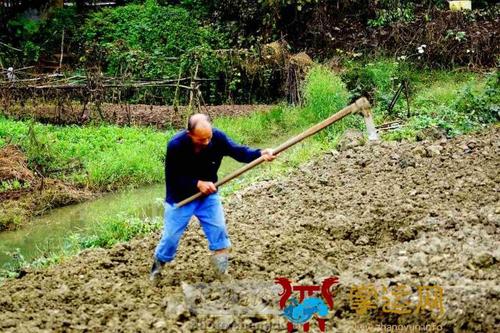 梦见挖地是什么意思 梦见别人挖地好不好