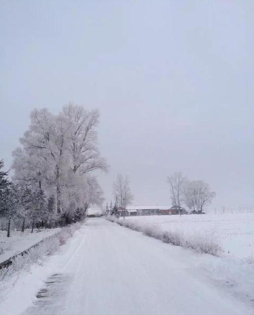 梦见绿洲 梦见道路被雪覆盖了