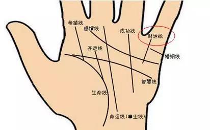 女生手短旺夫吗有怎样的手相特征 手相看财运9个特征