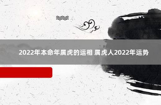 2022年本命年属虎的运相 属虎人2022年运势如何