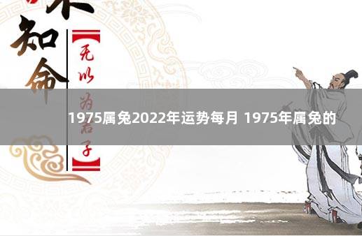 1975属兔2022年运势每月 1975年属兔的人2022年每月运程