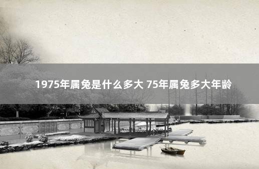 1975年属兔是什么多大 75年属兔多大年龄