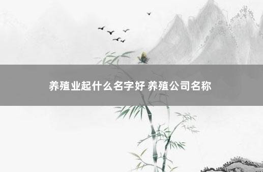 养殖业起什么名字好 养殖公司名称