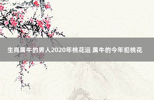 生肖属牛的男人2020年桃花运 属牛的今年犯桃花运吗