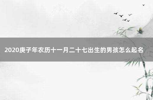 2020庚子年农历十一月二十七出生的男孩怎么起名字 今年农历十一月出生的宝宝怎么取名