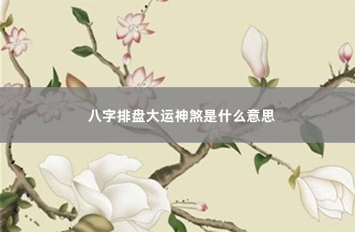 八字排盘大运神煞是什么意思