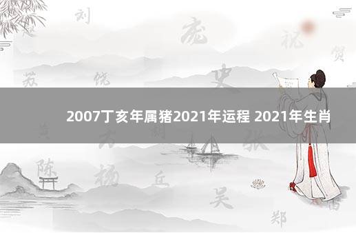 2007丁亥年属猪2021年运程 2021年生肖猪运势运程