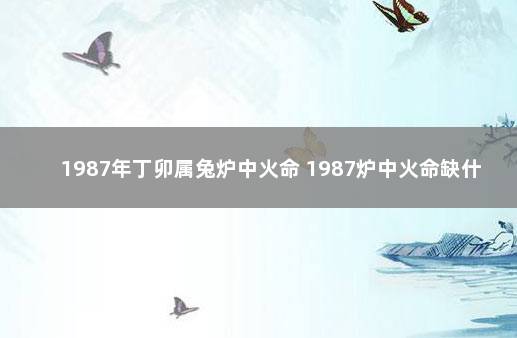 1987年丁卯属兔炉中火命 1987炉中火命缺什么