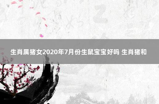 生肖属猪女2020年7月份生鼠宝宝好吗 生肖猪和鼠相配吗