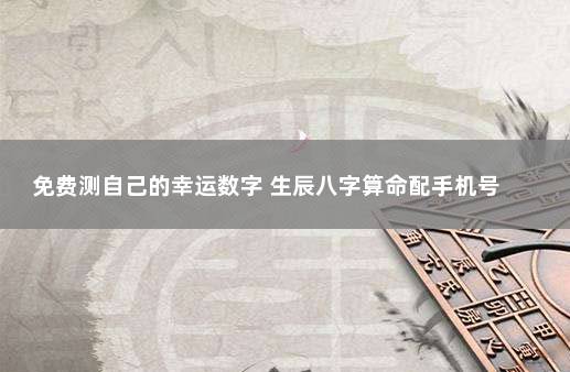 免费测自己的幸运数字 生辰八字算命配手机号