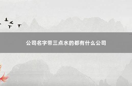 公司名字带三点水的都有什么公司