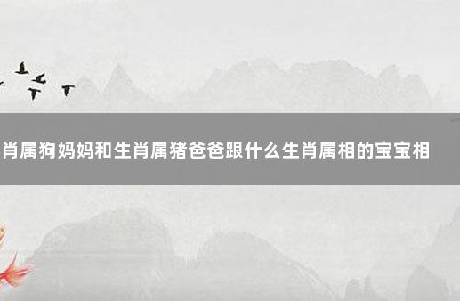 生肖属狗妈妈和生肖属猪爸爸跟什么生肖属相的宝宝相冲 属鸡的和什么属相不合