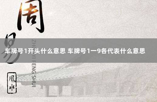 车牌号1开头什么意思 车牌号1一9各代表什么意思