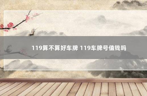 119算不算好车牌 119车牌号值钱吗