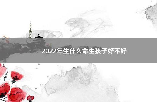 2022年生什么命生孩子好不好