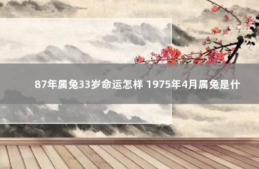 87年属兔33岁命运怎样 1975年4月属兔是什么命