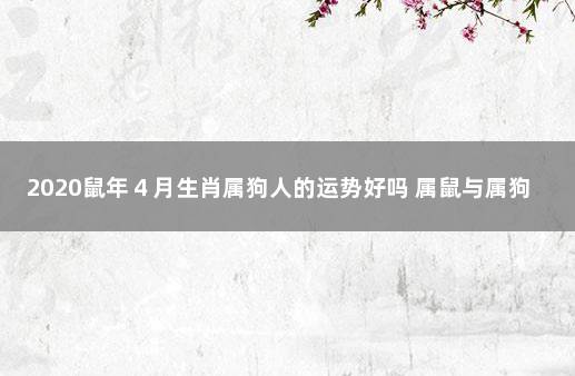 2020鼠年４月生肖属狗人的运势好吗 属鼠与属狗相结合怎么样