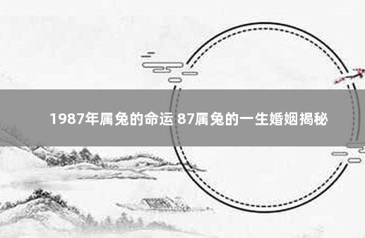 1987年属兔的命运 87属兔的一生婚姻揭秘