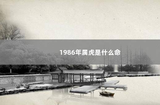 1986年属虎是什么命