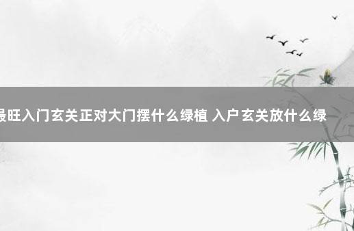 最旺入门玄关正对大门摆什么绿植 入户玄关放什么绿植最吉利