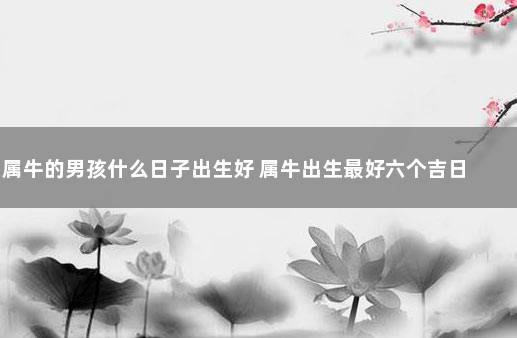 属牛的男孩什么日子出生好 属牛出生最好六个吉日