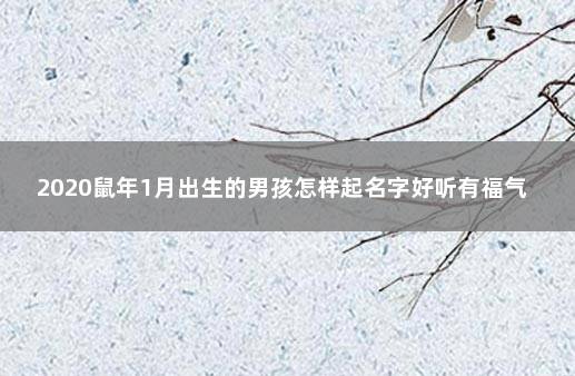 2020鼠年1月出生的男孩怎样起名字好听有福气 鼠年男孩取名字大全