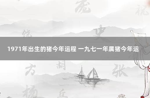 1971年出生的猪今年运程 一九七一年属猪今年运程