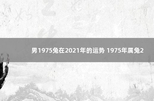 男1975兔在2021年的运势 1975年属兔2021年运势及运程男性