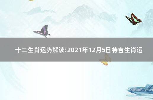 十二生肖运势解读:2021年12月5日特吉生肖运势 2021年9月5号十二生肖运势如何