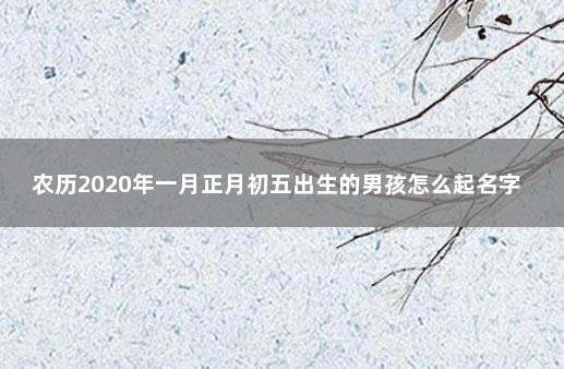 农历2020年一月正月初五出生的男孩怎么起名字