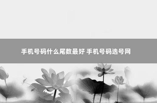 手机号码什么尾数最好 手机号码选号网