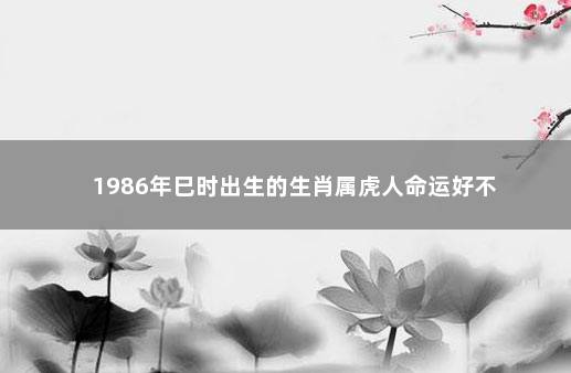 1986年巳时出生的生肖属虎人命运好不