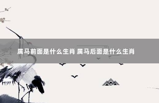 属马前面是什么生肖 属马后面是什么生肖